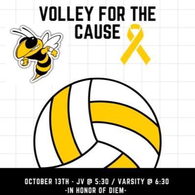 Volley for a Cause